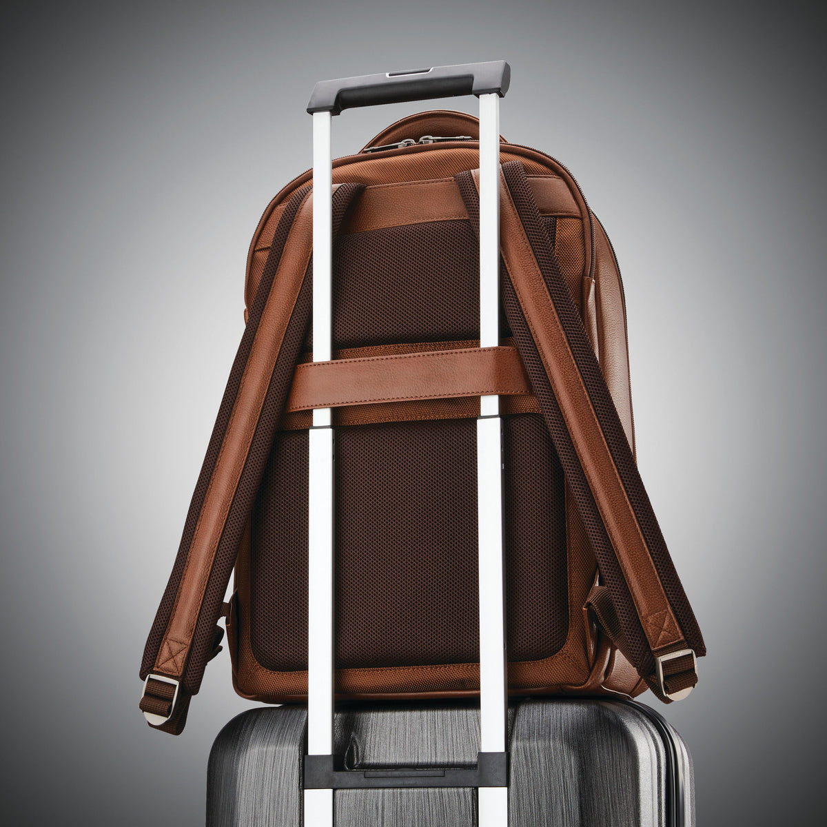 Samsonite Classic Leather Backpack in the color Cognac.
