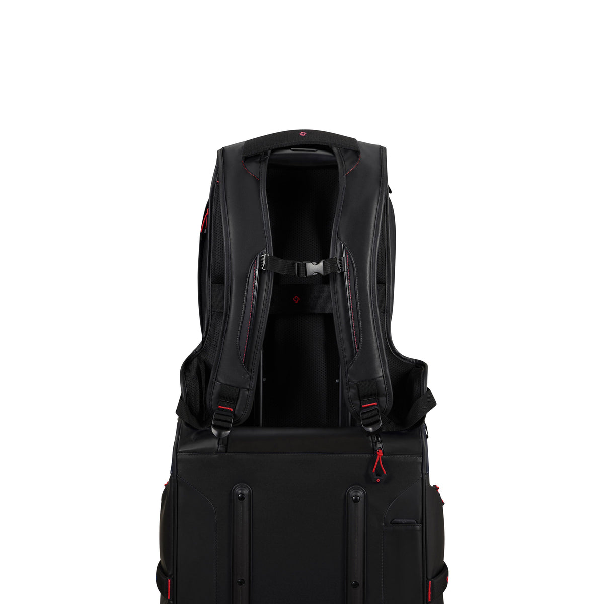 Samsonite EcoDiver Laptop Backpack (Medium) in the color Black.