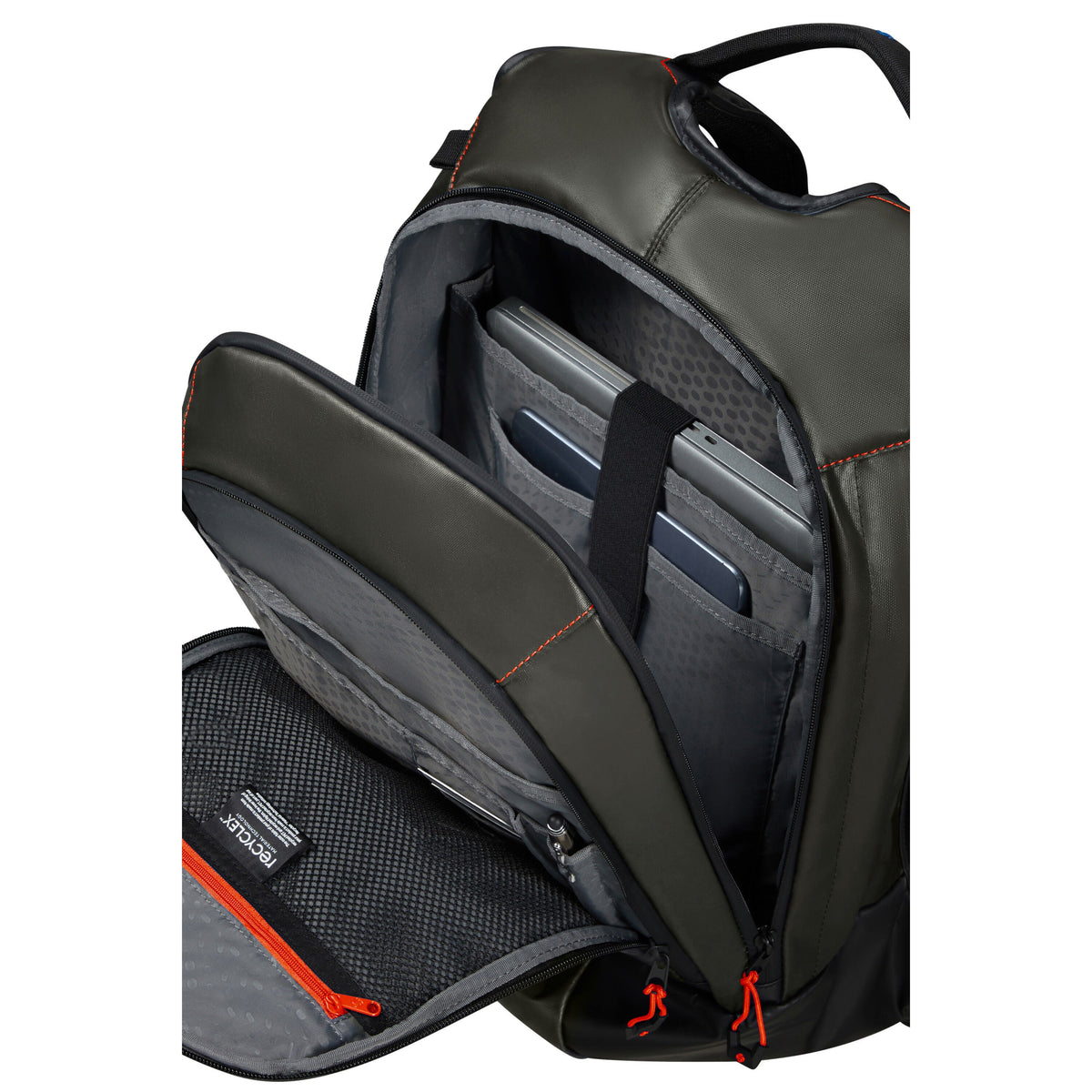 Samsonite Prodiver Laptop Backpack (Large) in the color Climbing Ivy.