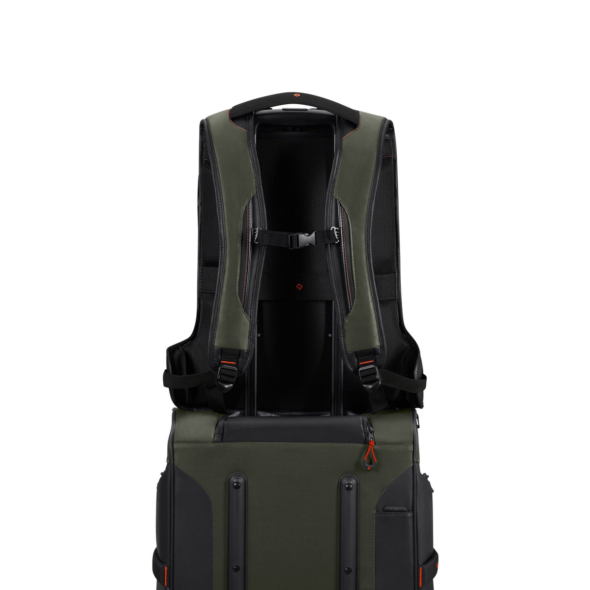 Samsonite Prodiver Laptop Backpack (Large) in the color Climbing Ivy.