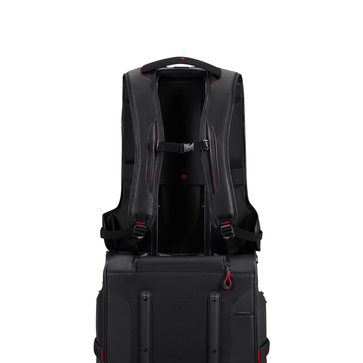 Samsonite EcoDiver Laptop Backpack (Large) in the color Black.