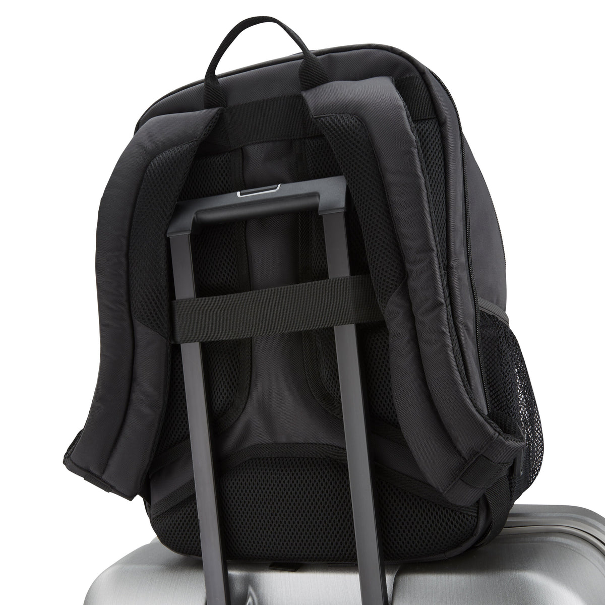 Samsonite Classic NXT Standard Backpack in the color .