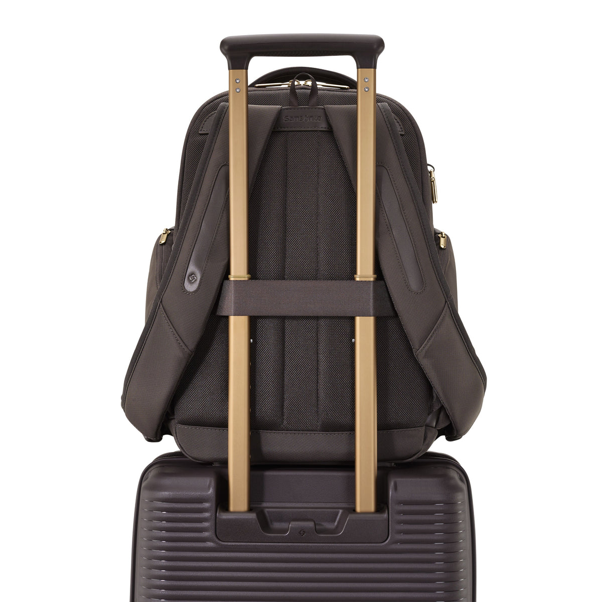 Samsonite Paralux Everyday Backpack in the color Coffee Bean.
