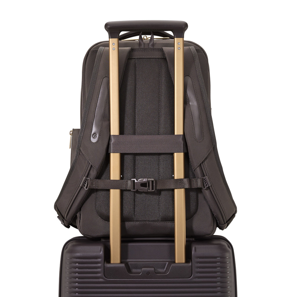 Samsonite Paralux 2-in-1 Travel Backpack in the color Coffee Bean.