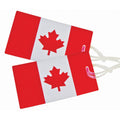 Samsonite 2 Pack Canadian Flag Luggage ID Tags in the color Red/White.